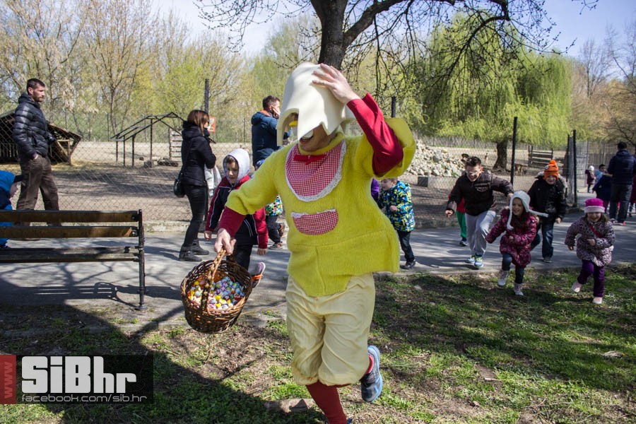 zoo_vrt_50