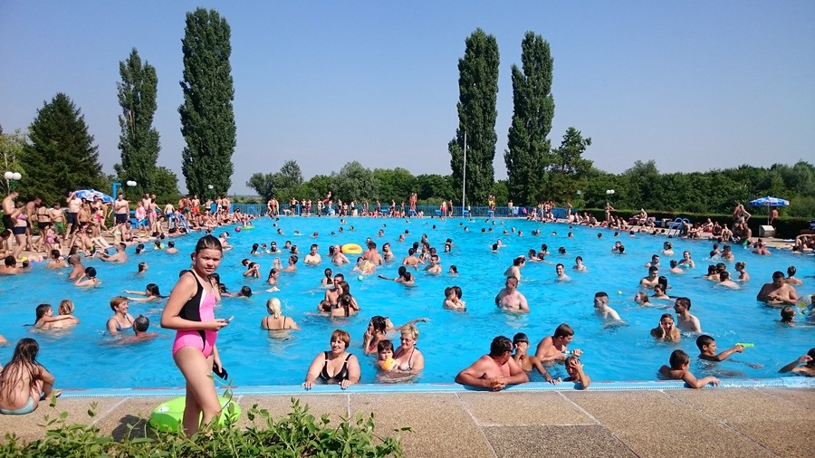 knezevi_vinogradi_1