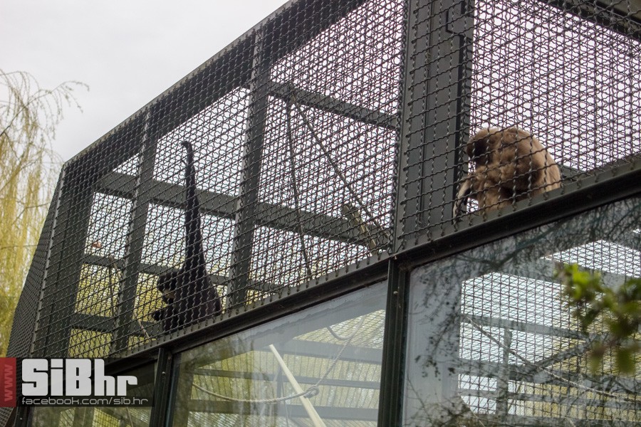 zoo_uskrs_2016_sibhr_57