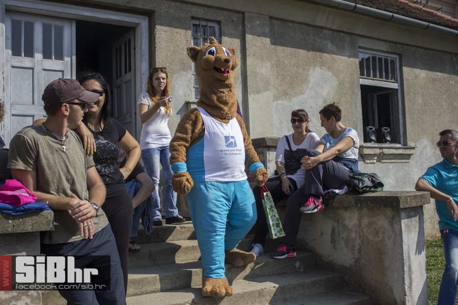 gymi_28
