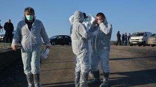 ptičja gripa ptičja gripa