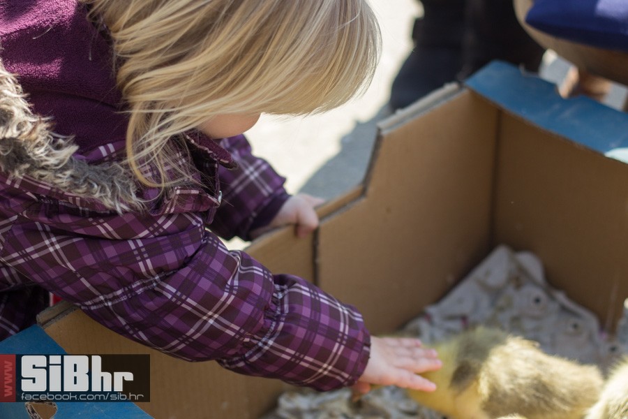 nedjelja_na_autopiji_osijek_29