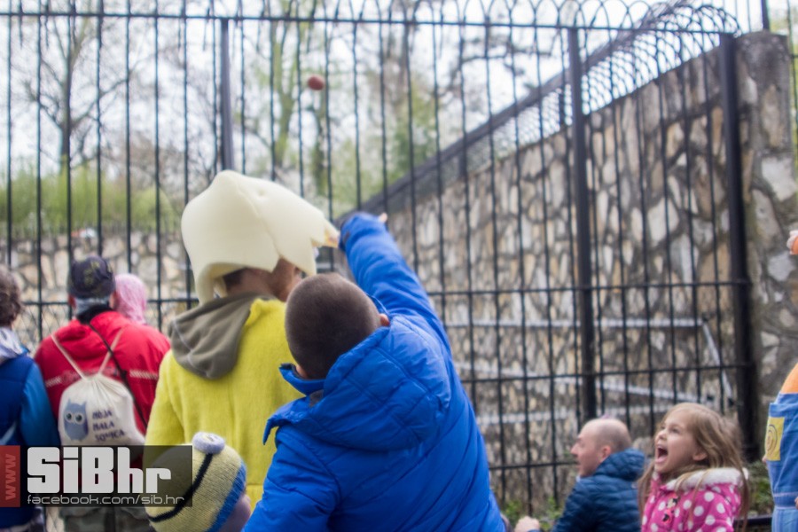 zoo_uskrs_2016_sibhr_116