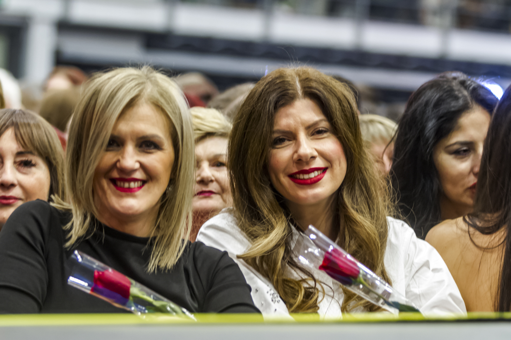 Zdravko Čolić u Osijeku 2023. Zdravko Čolić u Osijeku 2023.