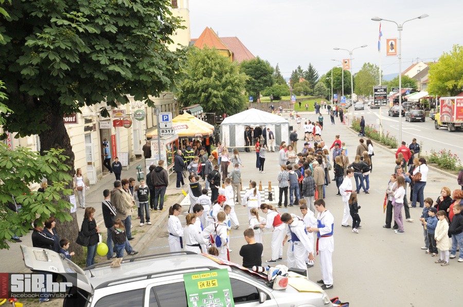 nasicedanhobija14