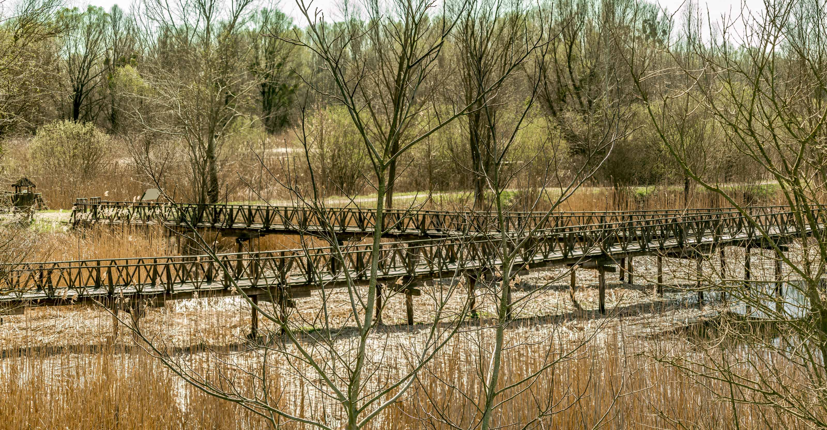 Kopački rit ožujak 2023. Kopački rit ožujak 2023.