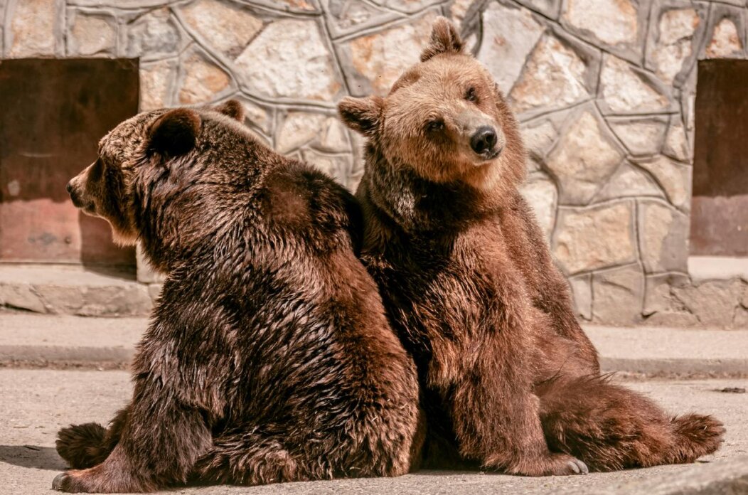 Uskrsni ponedjeljak u ZOO vrtu Osijek Uskrsni ponedjeljak u ZOO vrtu Osijek