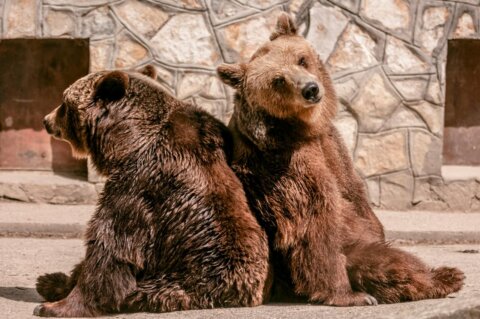 Uskrsni ponedjeljak u ZOO vrtu Osijek