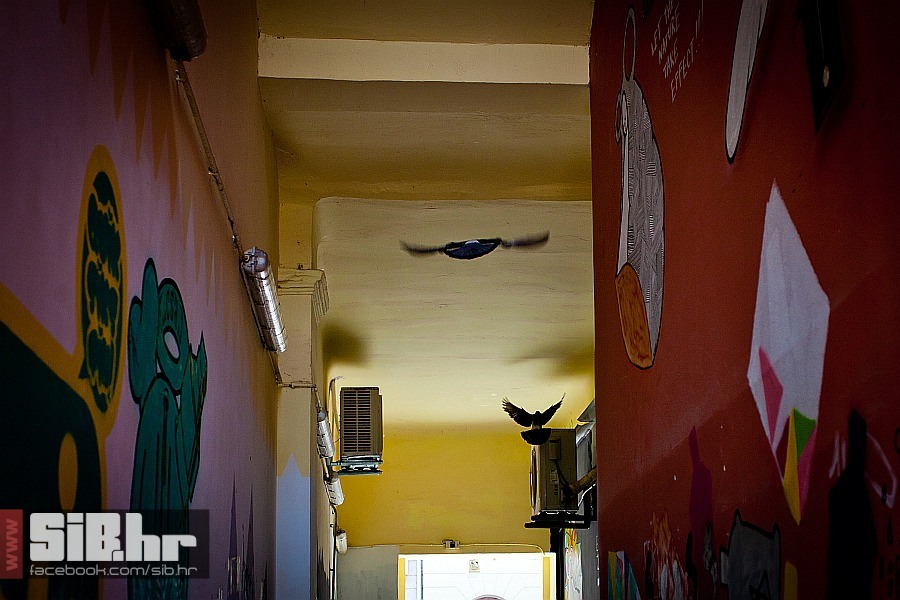 grafiti_prolaz_swan_pub_1207201