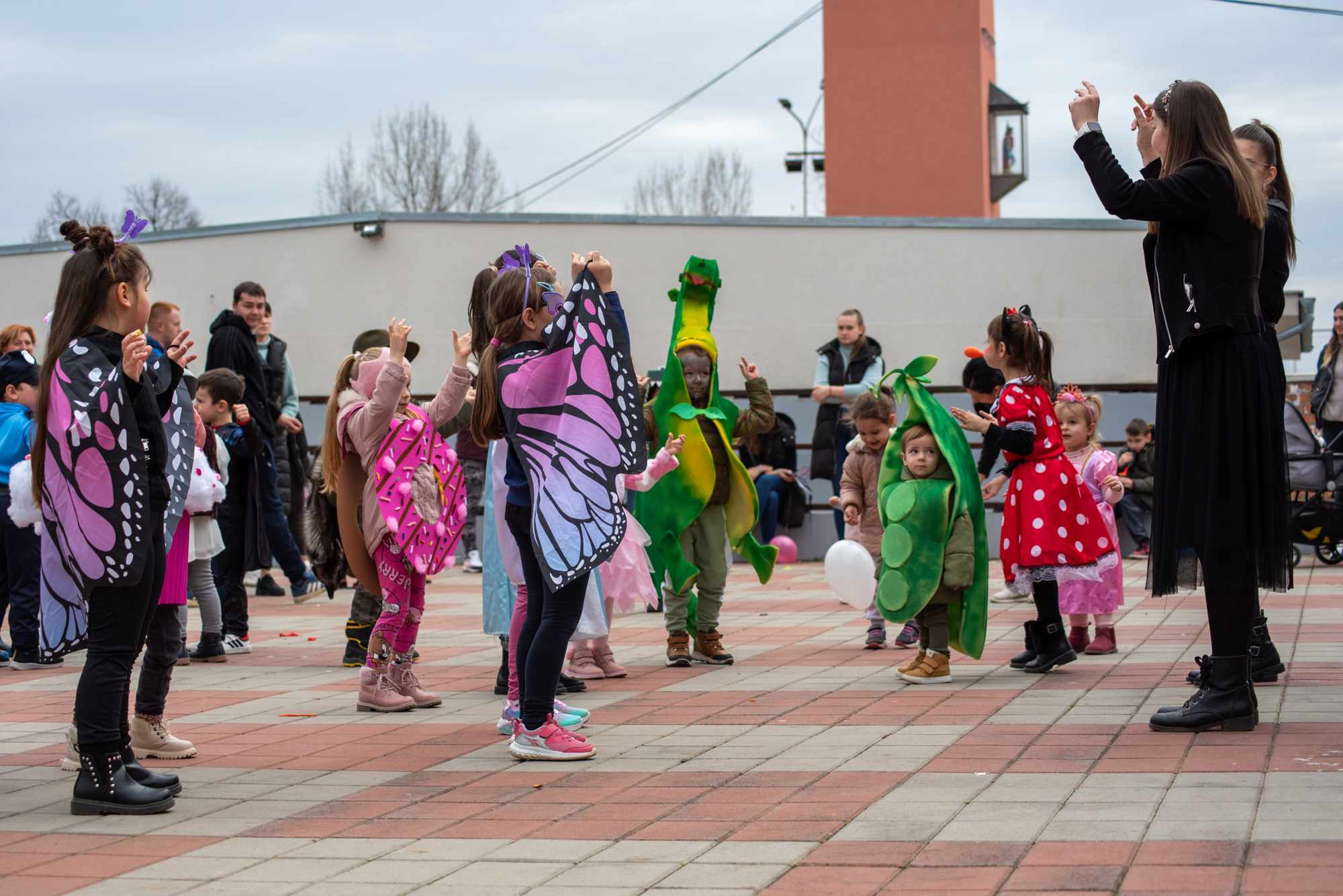 Male Mačkare u Koški