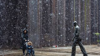 susnježica susnježica