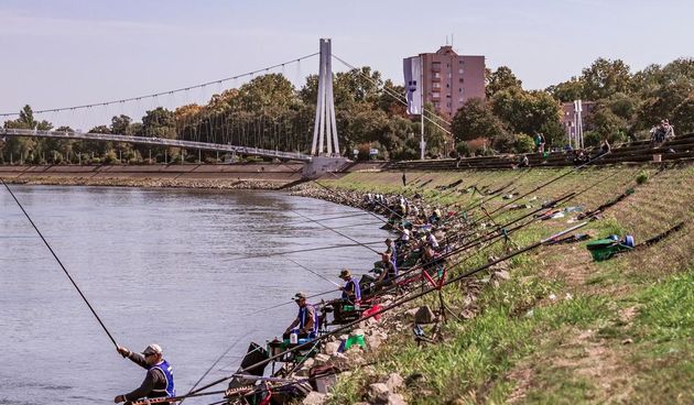 legice i lege u šetnji