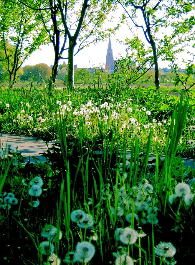 osijek_robert_marinkovic_45