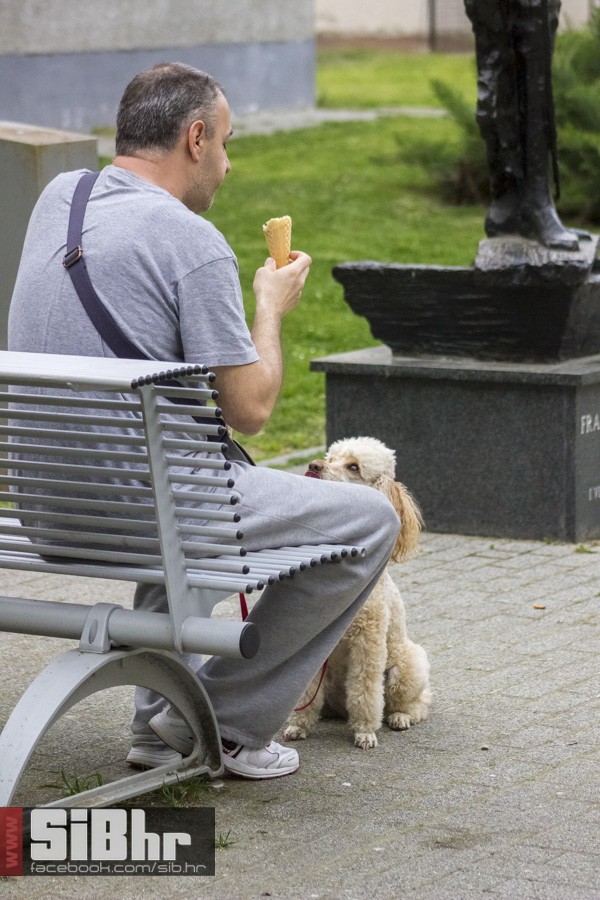 osjecani_u_setnji_gradom_20 osjecani_u_setnji_gradom_20