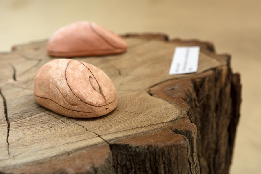 PXL_120318_20018439-901×600 PXL_120318_20018439-901×600