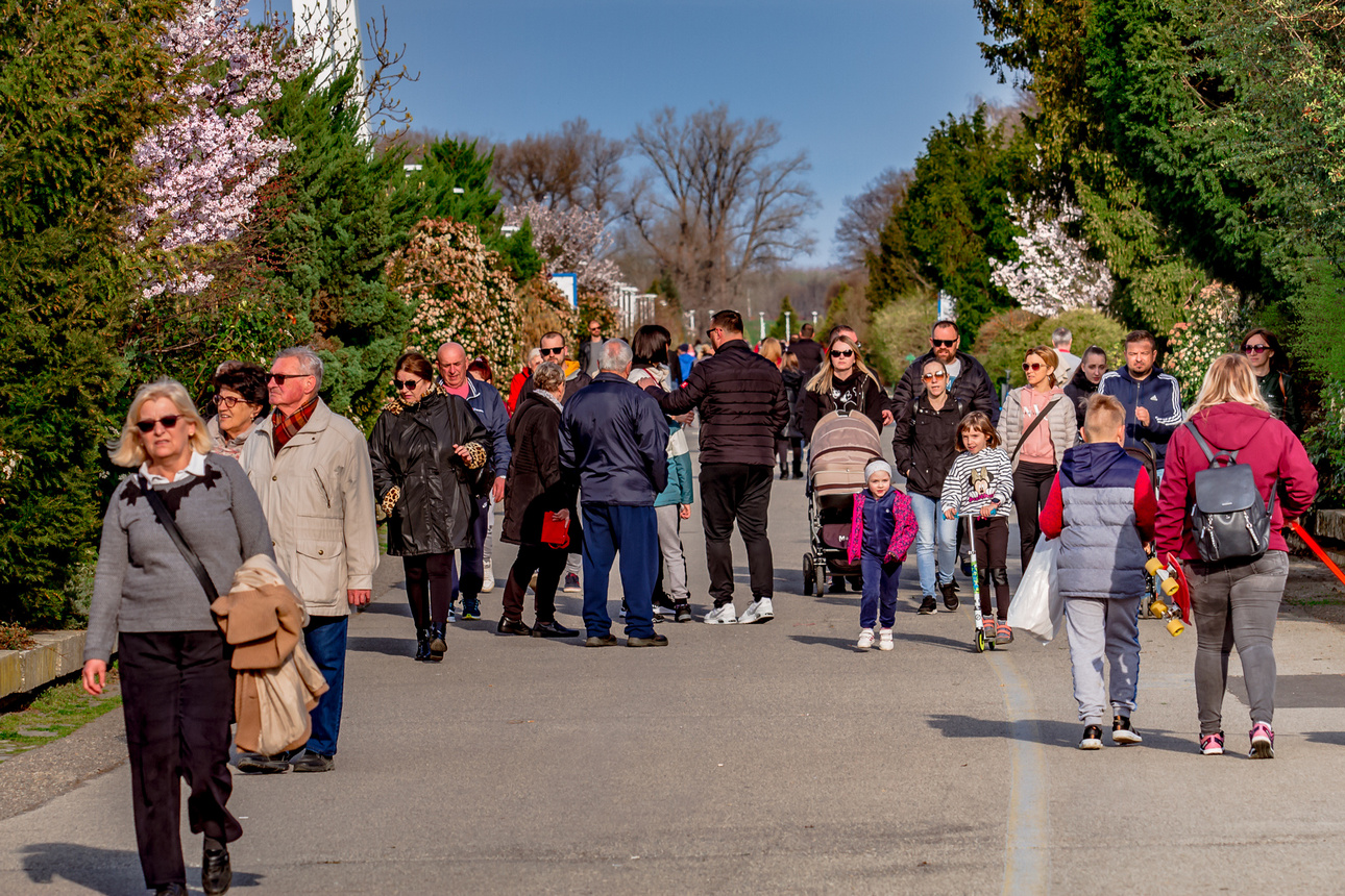 Legice i lege u nedjeljnoj šetnji [28.3.2021.]