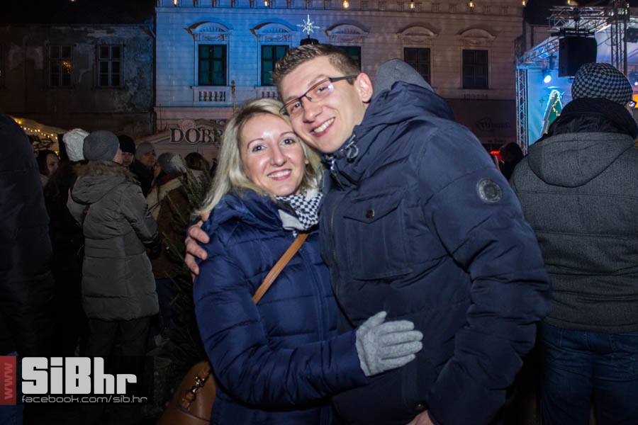 nova_godina2017_elemntal_sibhr_