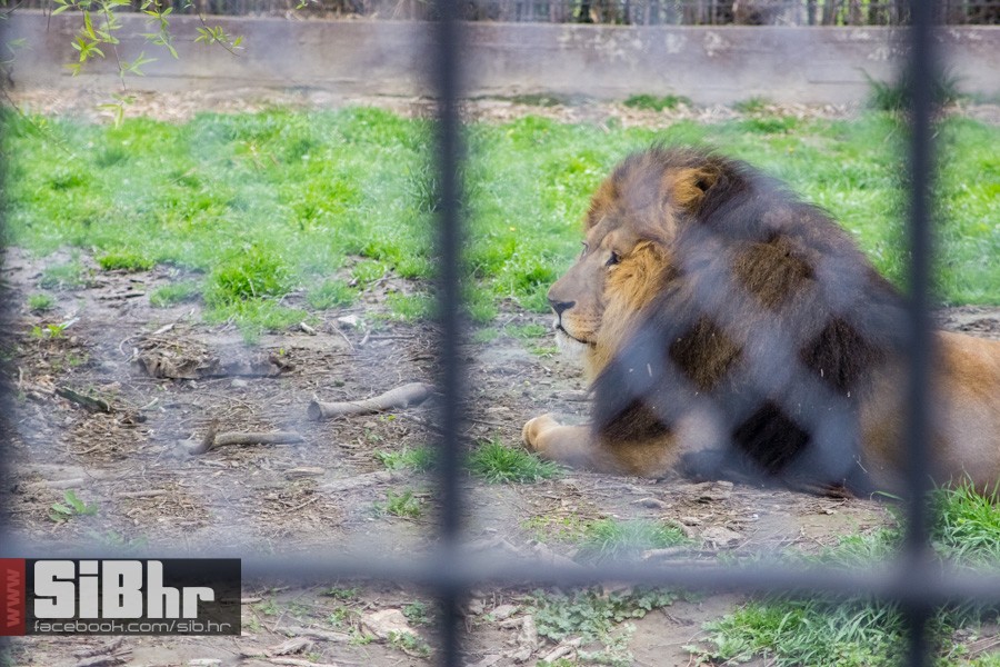 zoo_uskrs_2016_sibhr_104