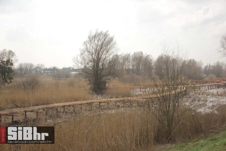 kopacki_rit_ozujak2015_SiBhr_41