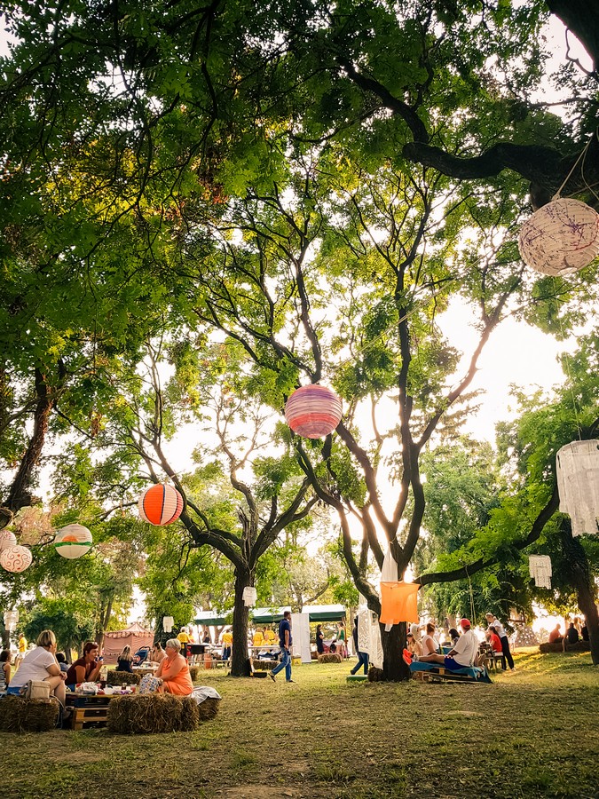 tarda_festival_13