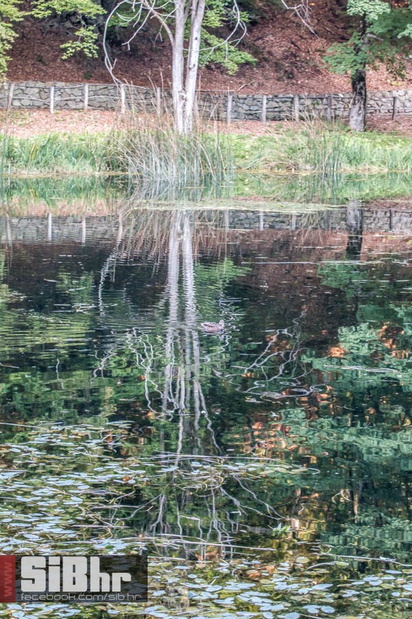 park_prirode_jankovac_14