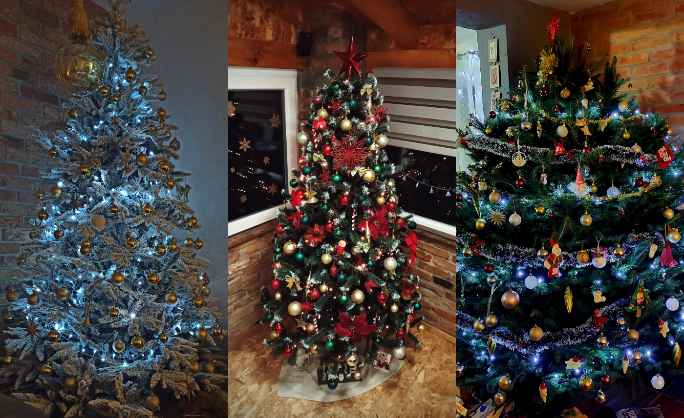 Božićna drvca 2022.