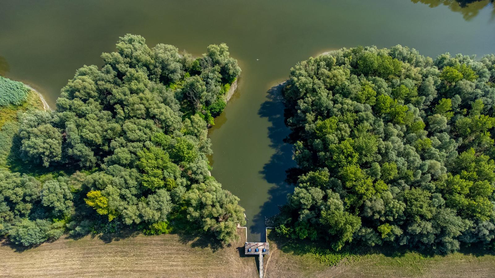 Kopački rit u ljeto 2022.