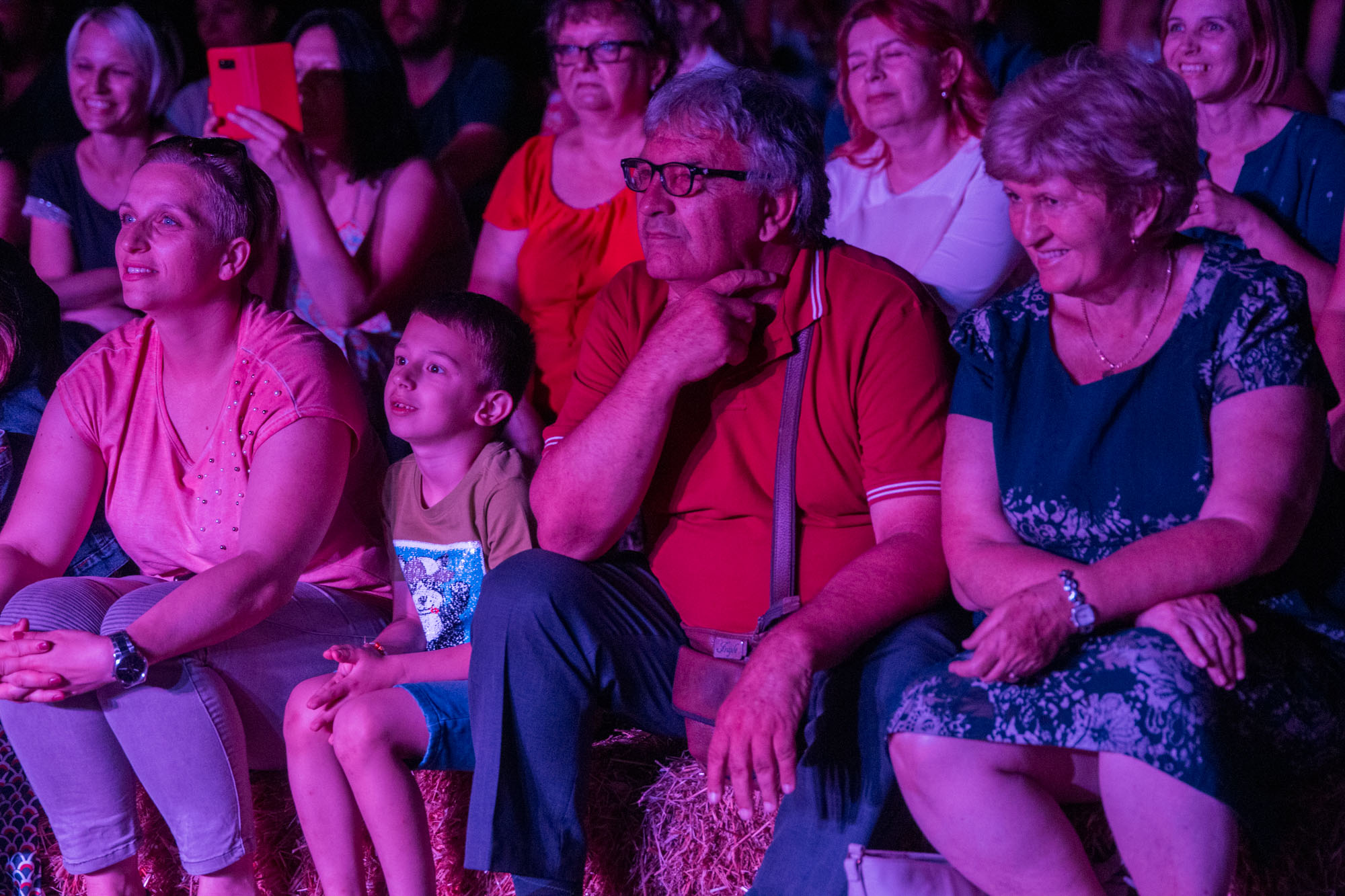 DunavArt Festival u Erdutu