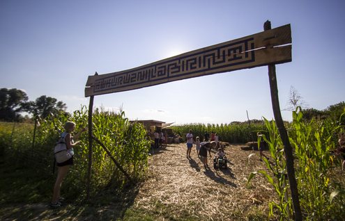 kukuruzni_labirint