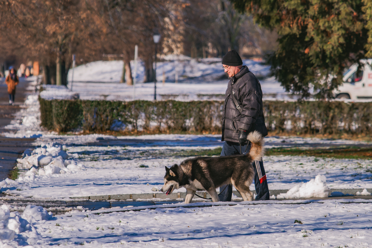 Zubato sunce i snijeg izmamili Osječane u šetnju
