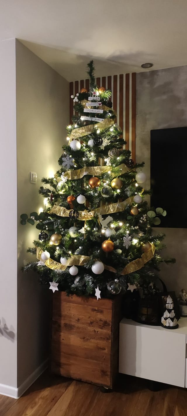 Najljepši borovi na Božić 2023. Najljepši borovi na Božić 2023.