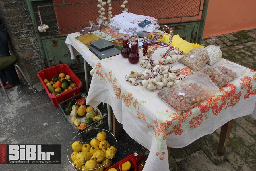 vinski_maraton_zamjevac_SiBhr_1 vinski_maraton_zamjevac_SiBhr_1