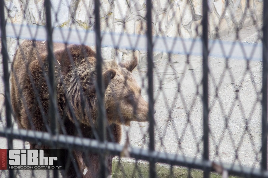 zoo_uskrs_2016_sibhr_117