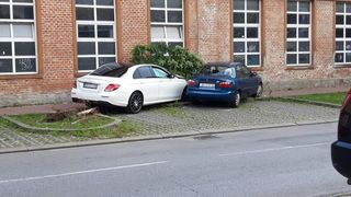 Image 3770661 (auto) Image 3770661 (auto)