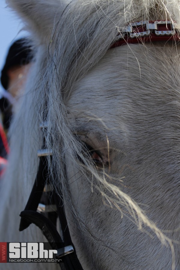 baranja_jahanje_30 baranja_jahanje_30