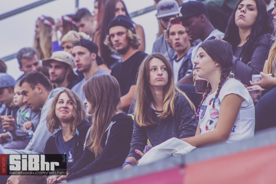 pannonian_petak2015_SiBhr16