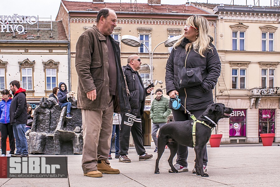 trovanje prosvjed_sibhr_08