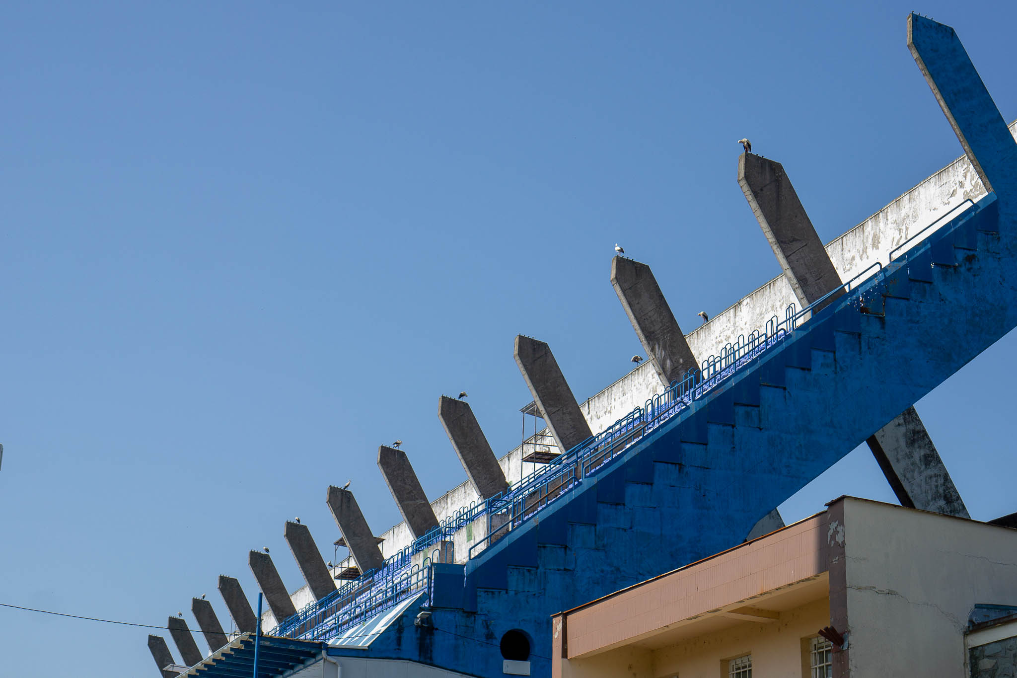 Rode na Gradskom vrtu Rode na Gradskom vrtu