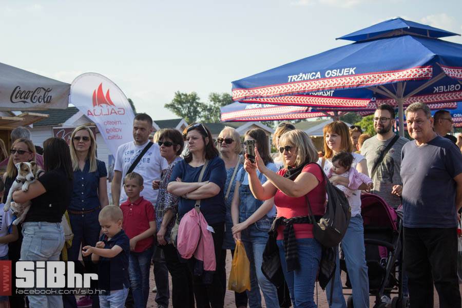 sajam_cvijeca_osijek_34