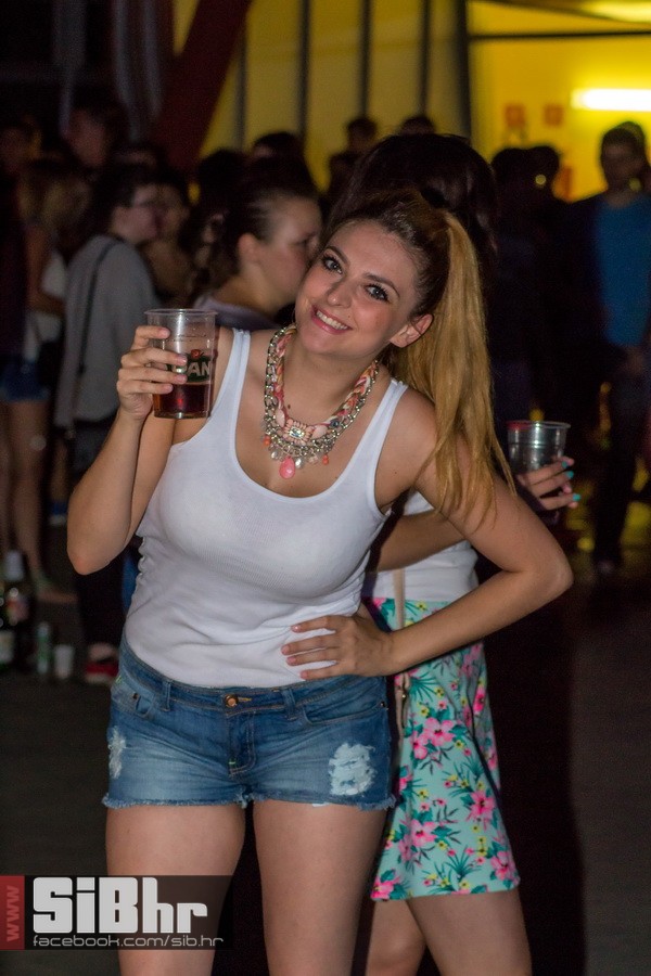 dc_party_by_zoran_47
