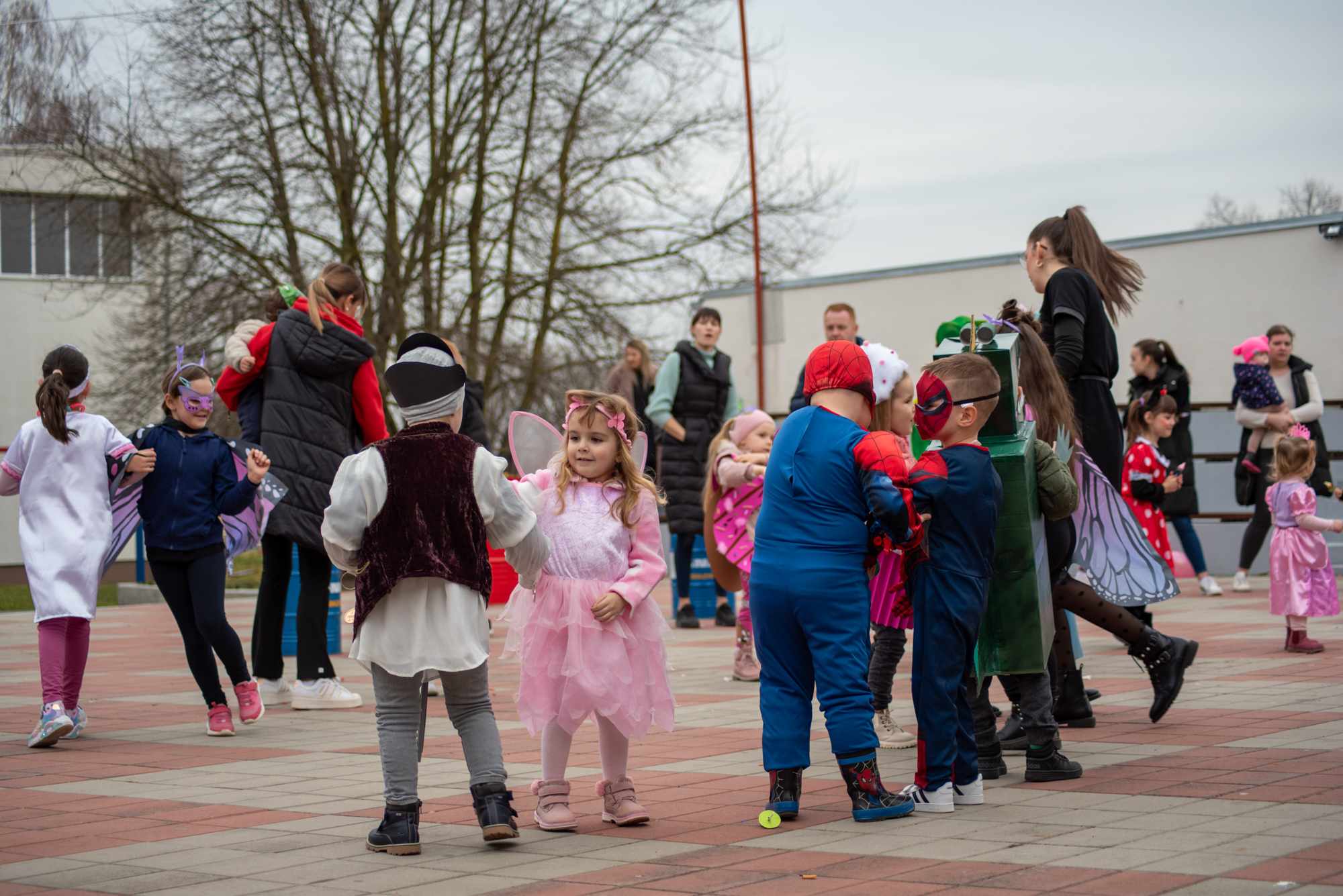 Male Mačkare u Koški