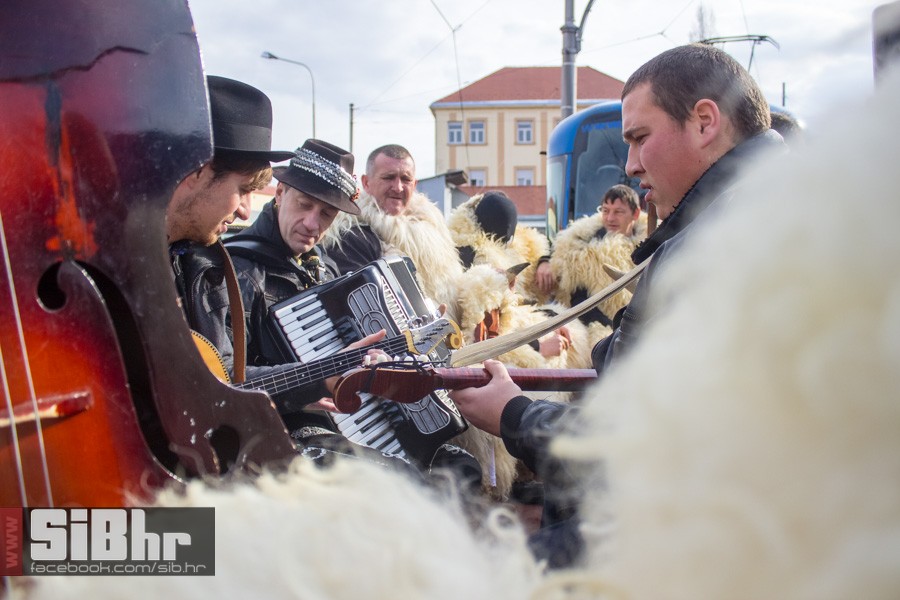 baranjske_buse_u_osijeku_4