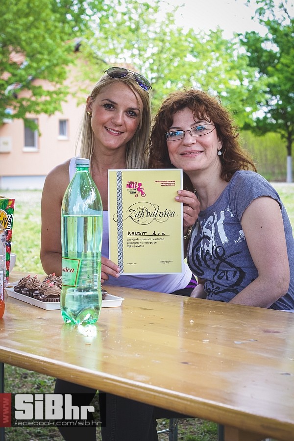 SOS_djecje_selo_ladimirevci_260