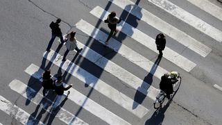 zebra pješački pješaci