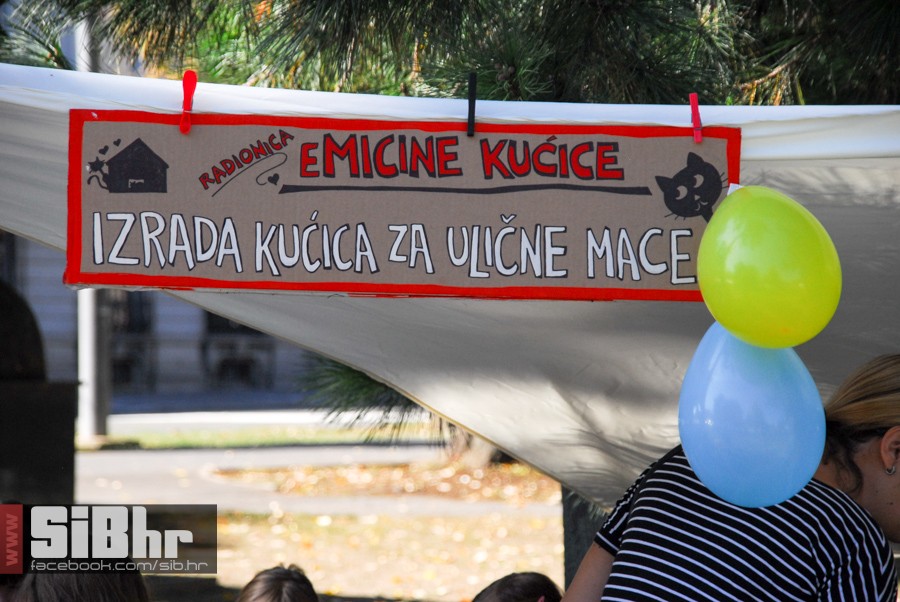zivotinje-3