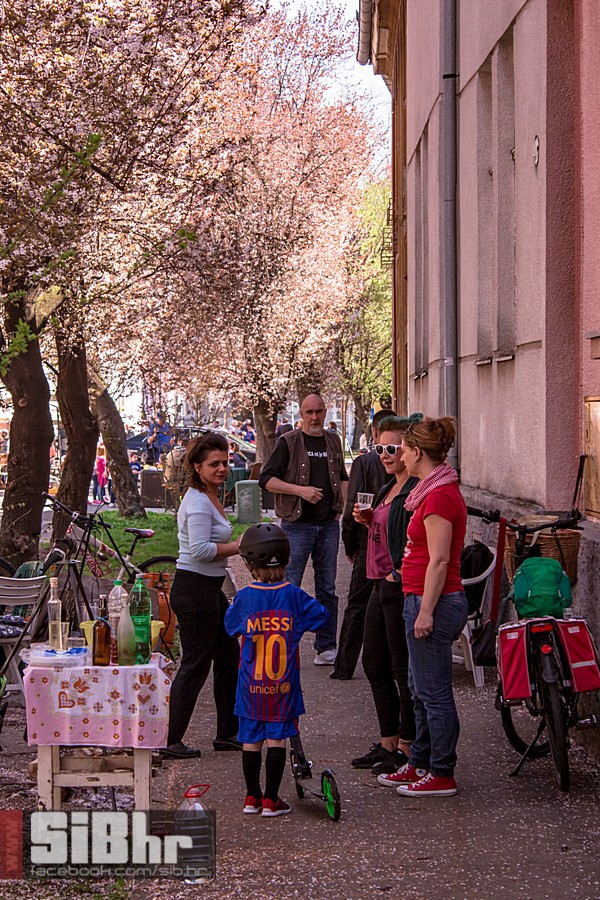 ulica_ringlova_ivica_benic_sibh