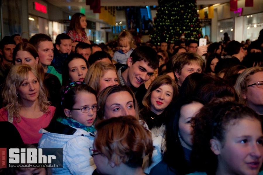 jelenarozga1412_SiBhr_9