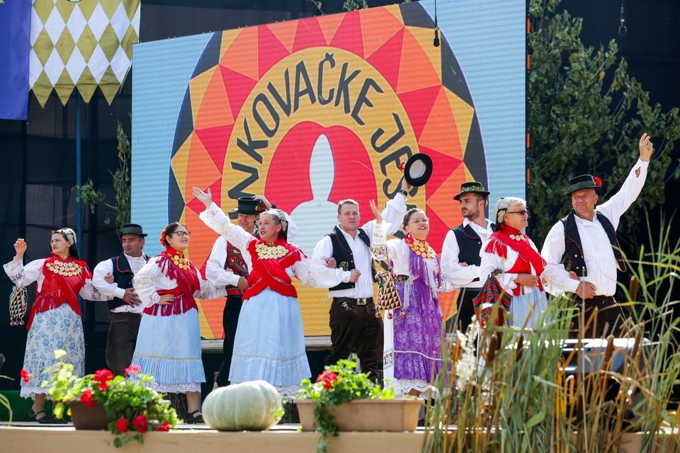 55. Vinkovačke jeseni