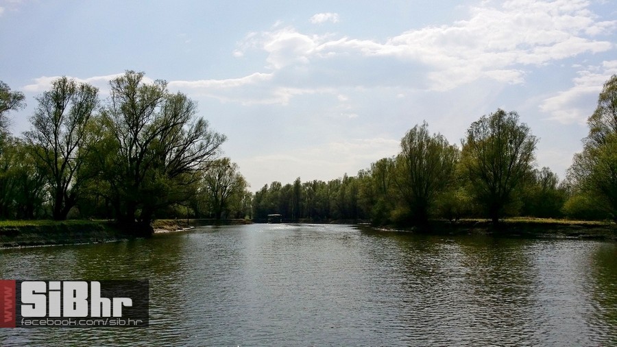 kopacki_ana_misin_sibhr_05