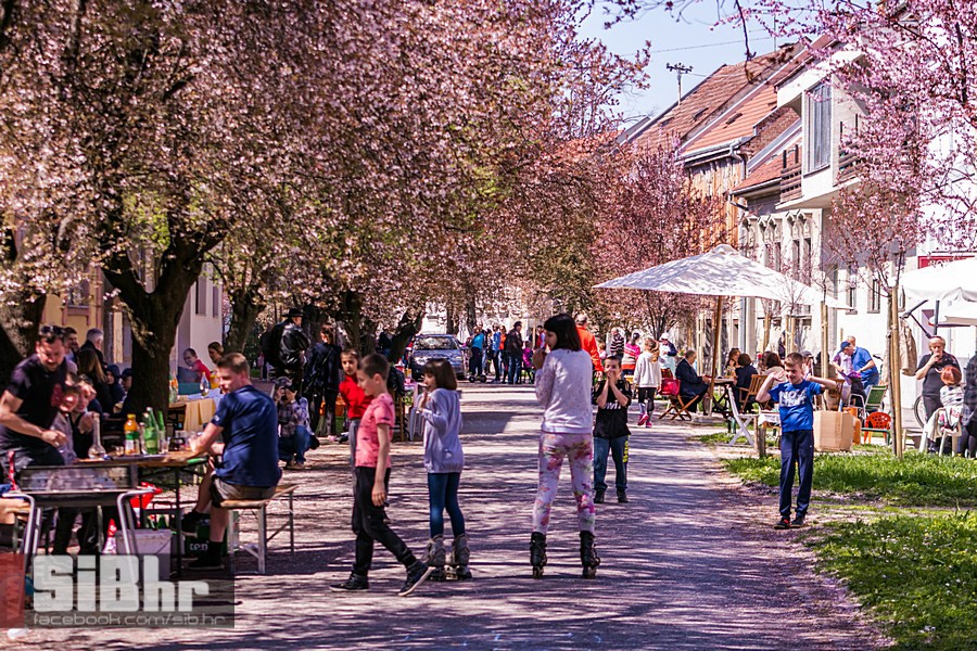 ulica_ringlova_ivica_benic_sibh